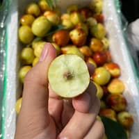 hồng táo (táo tàu)