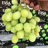 Nho Xanh Exsa