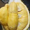 Sầu riêng cơm Ri6