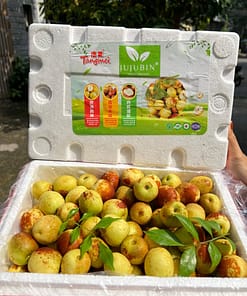 hồng táo (táo tàu)