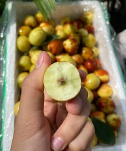 hồng táo (táo tàu)