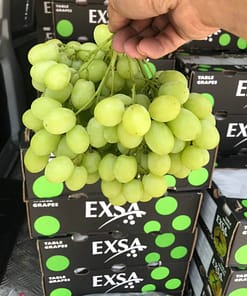 Nho Xanh Exsa