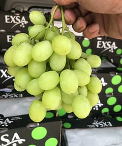 Nho Xanh Exsa