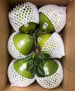 bưởi đường lá cam