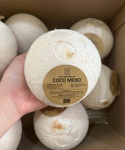 Dừa xiêm xanh Coco Meko