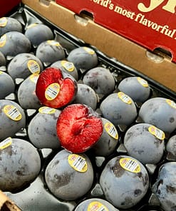 Mận Đỏ Family Tree Farms Mỹ