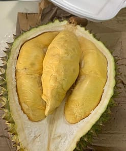 Sầu riêng cơm Ri6