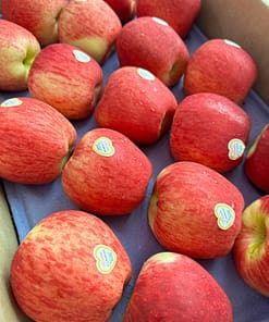 Táo Ambrosia New Zealand