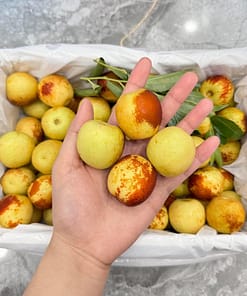 Táo Tàu - Hồng Táo - Đại Táo | Hộp Vip